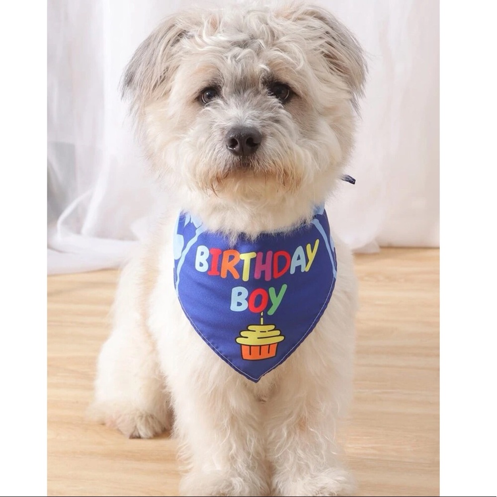 Birthday graphic Pet Scarf 🐕